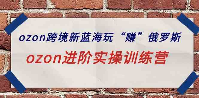 （9800期）ozon跨境新蓝海玩“赚”俄罗斯，ozon进阶实操训练营-一知网