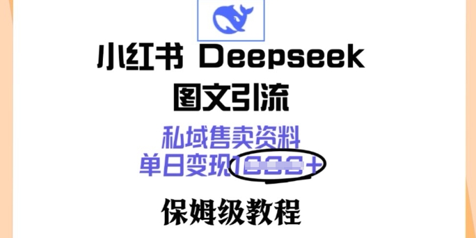 小红书Deepseek图文引流，私域售卖资料，单日变现多张，保姆级教程-一知网