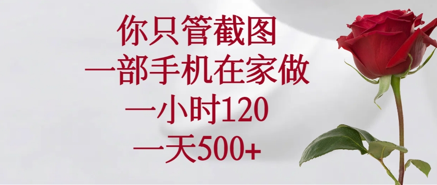 （14248期）你只管截图，一部手机在家做，一小时120，一天500+-一知网
