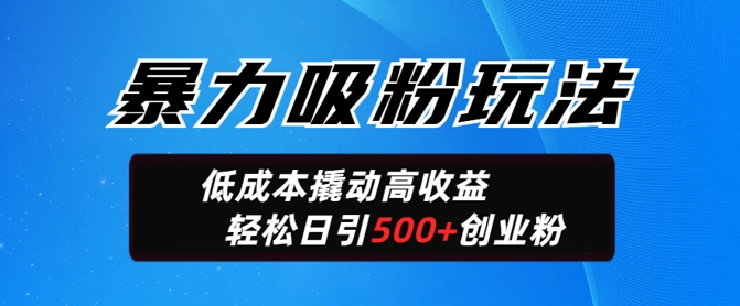 暴力吸粉玩法，日引500+精准创业粉，日变现轻松多张-一知网