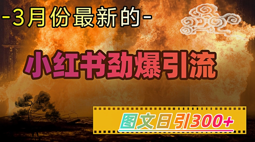 小红书超劲爆引流手段，图文日引300+轻松变现1W-一知网