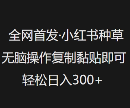 全网首发，小红书种草无脑操作，复制黏贴即可，轻松日入3张-一知网