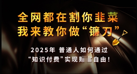 知识付费如何做到月入过W+，2025我来教你做“镰刀”【揭秘】-一知网