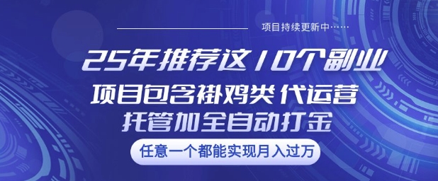 25年推荐这10个副业项目包含褂鸡类、代运营托管类、全自动打金类【揭秘】-一知网