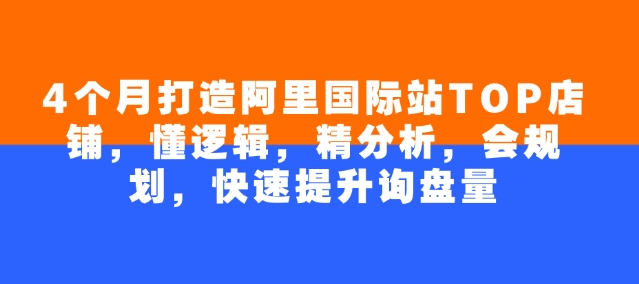 4个月打造阿里国际站TOP店铺，懂逻辑，精分析，会规划，快速提升询盘量-一知网