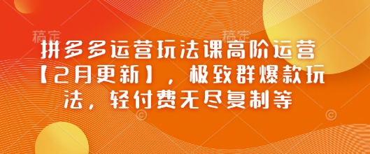 拼多多运营玩法课高阶运营【2月更新】，极致群爆款玩法，轻付费无尽复制等-一知网