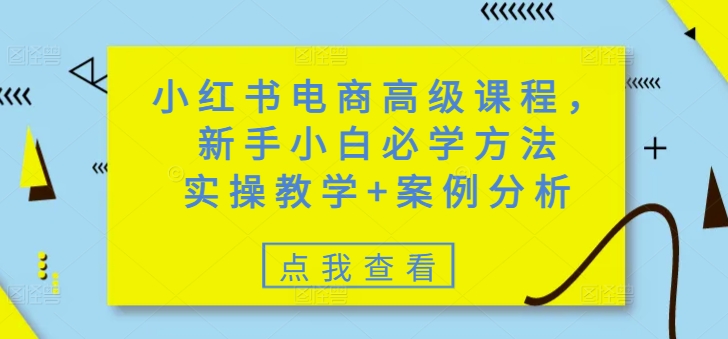 小红书电商高级课程，新手小白必学方法，实操教学+案例分析-一知网