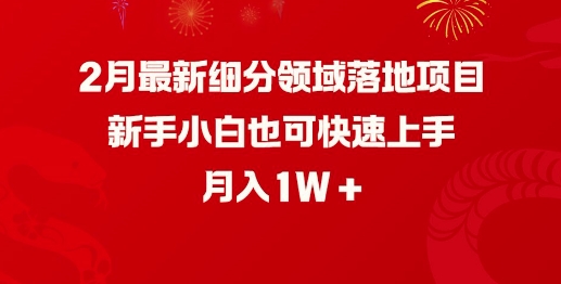 2月最新细分领域落地项目，新手小白也可快速上手，月入1W-一知网