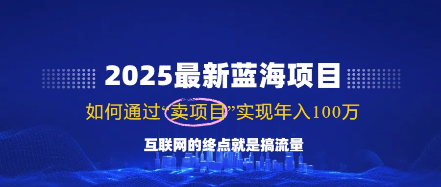 （14305期）2025最新蓝海项目，零门槛轻松复制，月入10万+，新手也能操作！-一知网