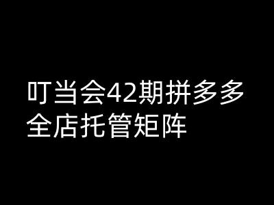 叮当会拼多多打爆班原创高阶技术第42期，拼多多全店托管矩阵-一知网